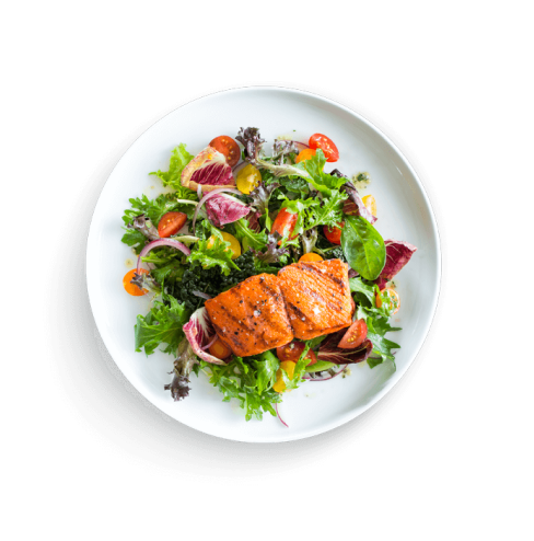 slider-dish.png