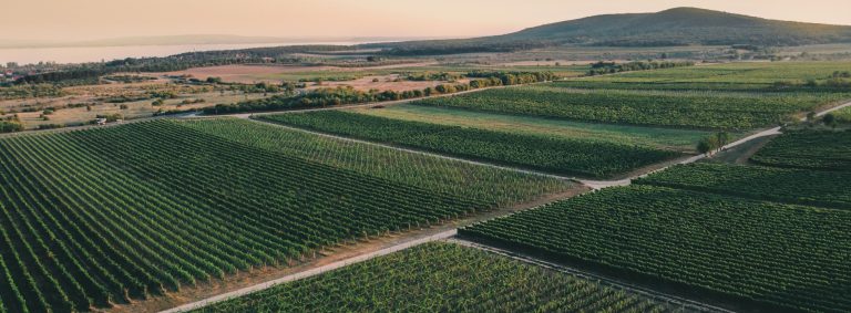 Winery With Great History