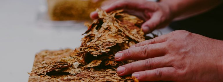 How to Moisturize Dried Tobacco?