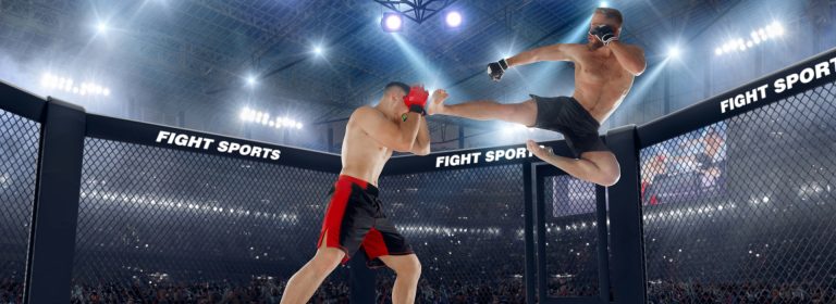 Champions rise, Ring warrior