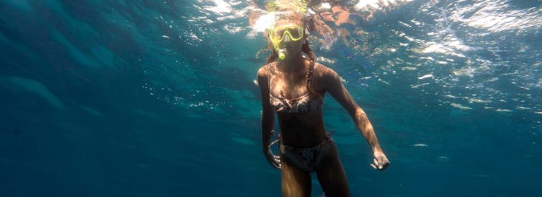 Every dive is a new adventure waiting to unfold