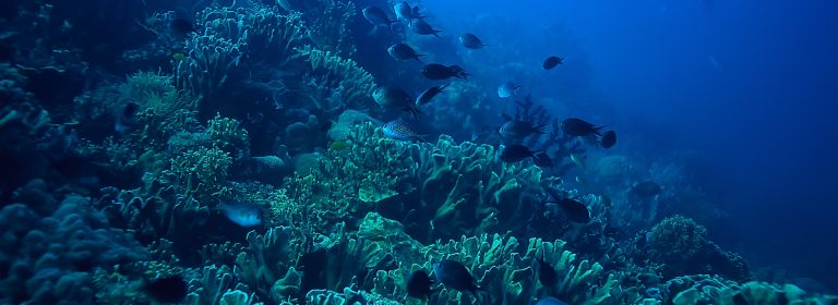 In every drop of water, there is a story of life