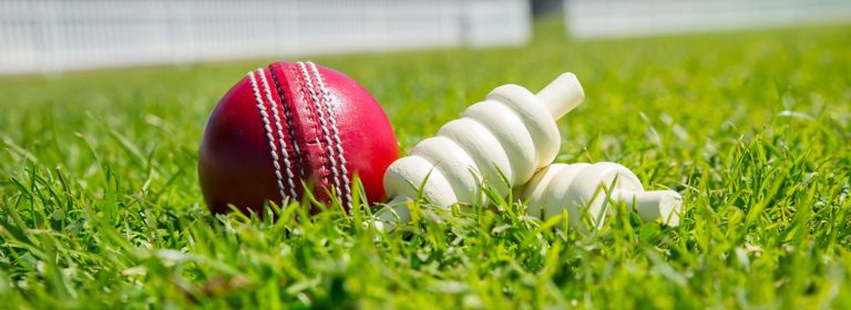 For the Love of the Game