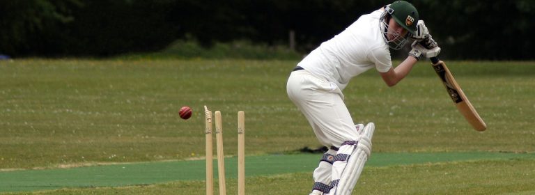 For the Love of the Game