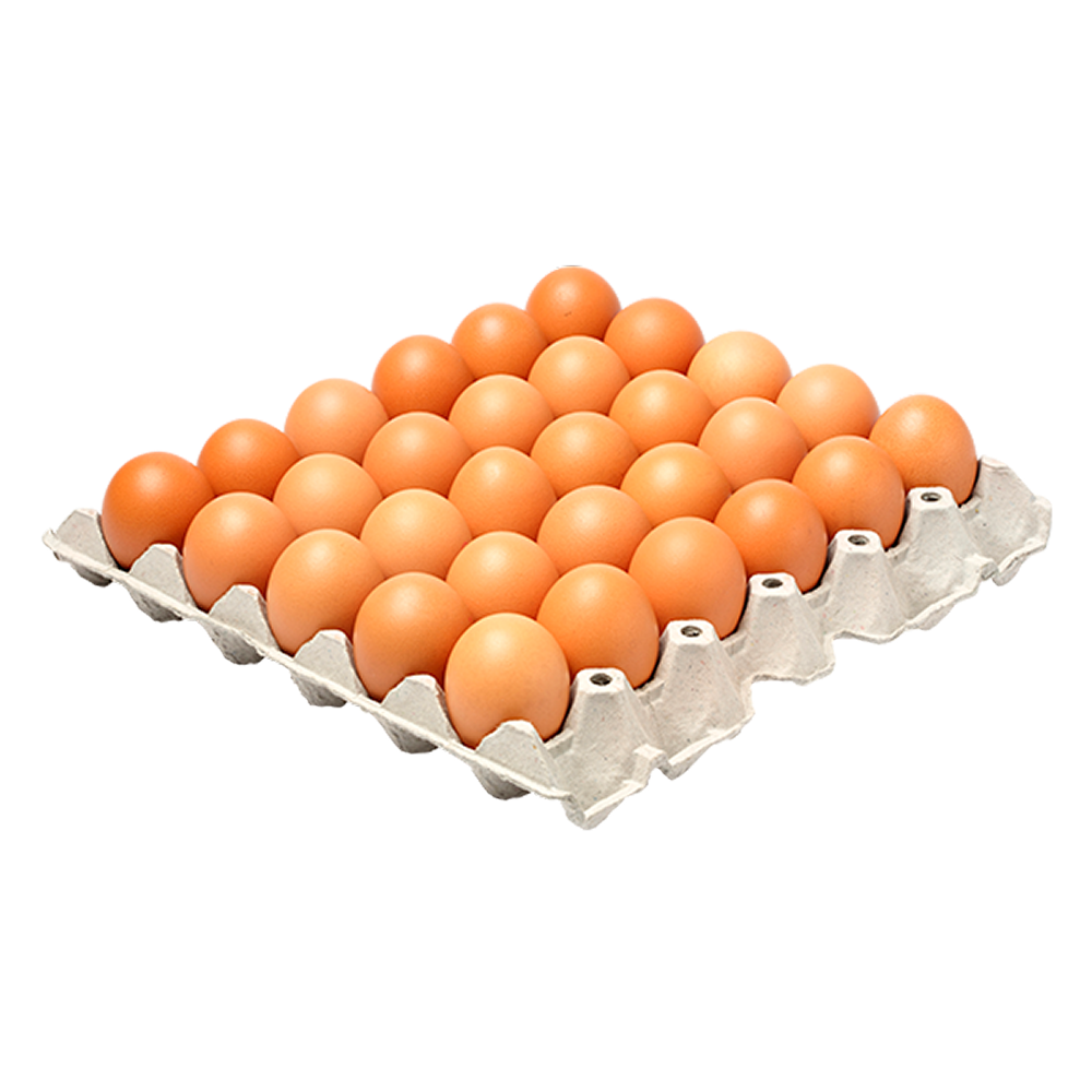 product-01