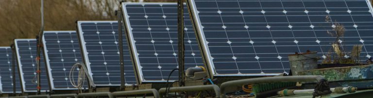 Brighten your day with a sun-powered cluster