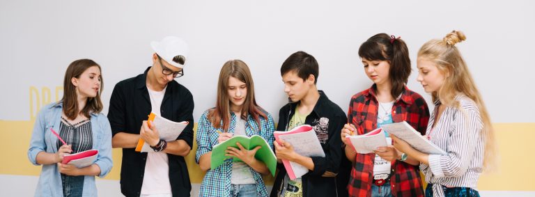 Web Development and Application