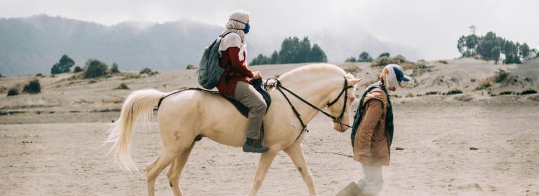 Graceful as the wind powerful.