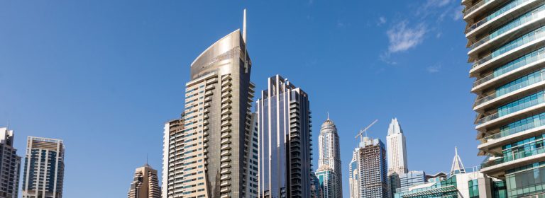 Vineyard Tours for Connoisseurs