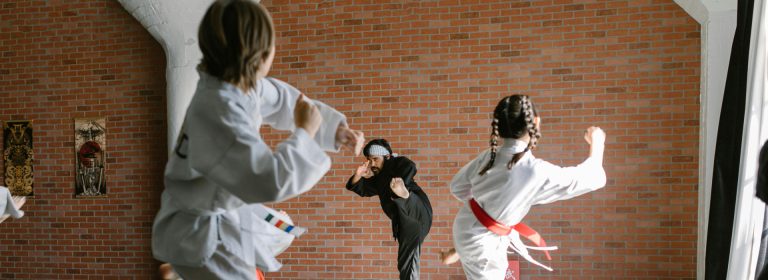 Emphasizes takedowns, control, and ground-and-pound techniques