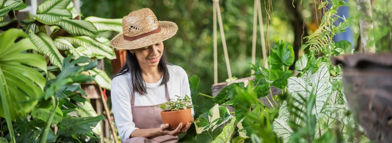 If you have a garden and a library you have everything you need
