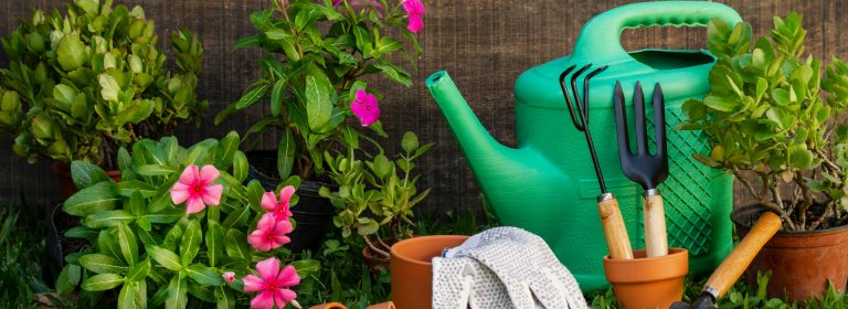 Gardening adds years to your life and life to your years