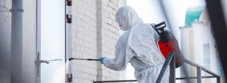 Because your home deserves to be pest-free